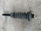 Rear shock absorber with coil spring