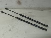 Tailgate/trunk strut/damper