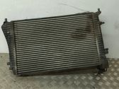 Intercooler radiator