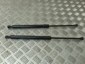 Tailgate/trunk strut/damper