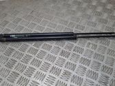 Tailgate/trunk strut/damper