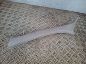 (A) pillar trim