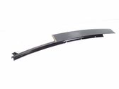 Rear door glass trim molding