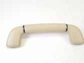 Front interior roof grab handle