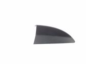 Other front door trim element