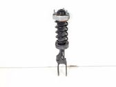 Front shock absorber/damper
