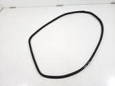 Rear door rubber seal (on body)