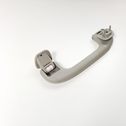 Front interior roof grab handle