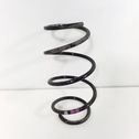 Front coil spring