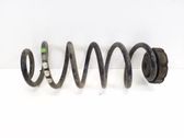 Rear coil spring