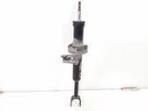 Front shock absorber/damper