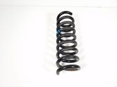 Rear coil spring