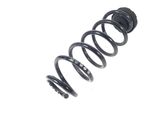 Rear coil spring