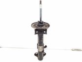 Front shock absorber/damper