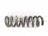 Rear coil spring