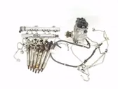 Fuel injection system set