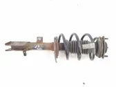 Front shock absorber/damper