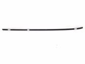Roof trim bar molding cover