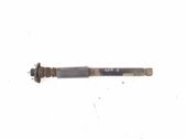 Rear shock absorber/damper