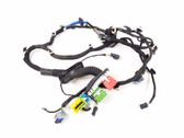 Other wiring loom