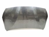Engine bonnet/hood