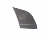 Moldura protectora del altavoz central del panel