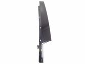 Other front door trim element