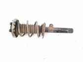 Front shock absorber/damper