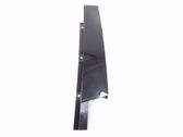 Other front door trim element