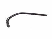 Other rear door trim element