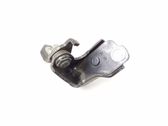 Rear door lower hinge