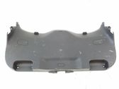 Moldura de la puerta trasera