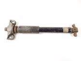 Stoßdämpfer hinten
