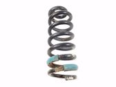 Rear coil spring