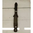 Rear shock absorber/damper