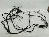 Other wiring loom