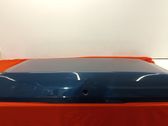 Tailgate/trunk/boot lid