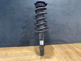 Front shock absorber/damper