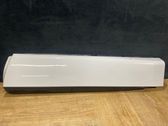 Front door trim (molding)
