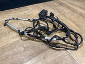Other wiring loom