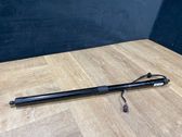 Tailgate/trunk strut/damper