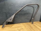Front door trim (molding)