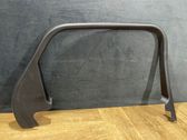 Rear door glass trim molding