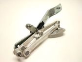 Tailgate/trunk/boot hinge