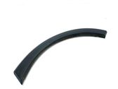 Fender trim (molding)