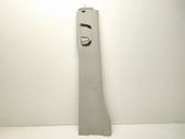 (B) pillar trim (bottom)