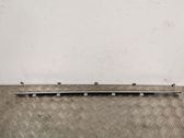 Front door glass trim molding