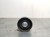 Alternator belt tensioner pulley