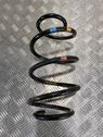 Front coil spring