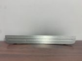 Rear sill trim cover